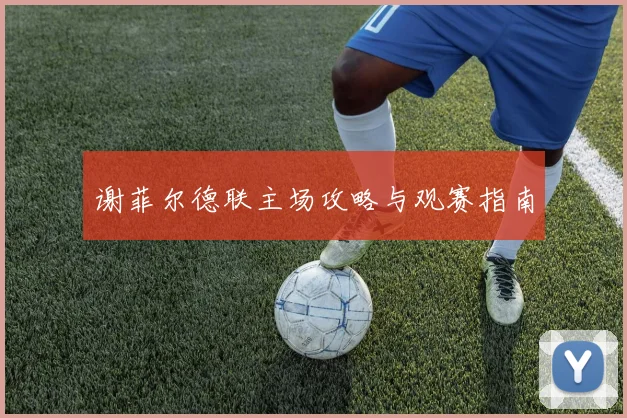 谢菲尔德联主场攻略与观赛指南