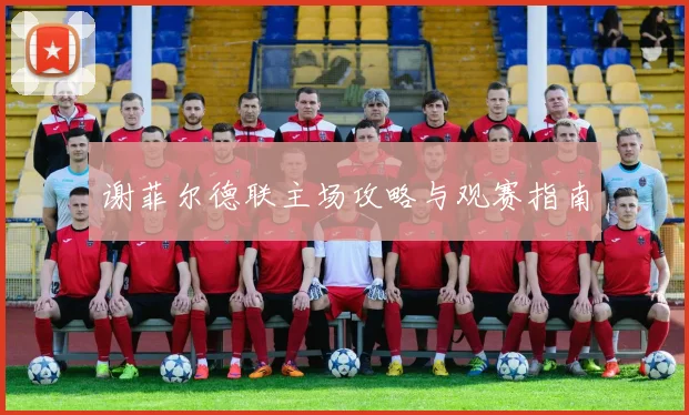 谢菲尔德联主场攻略与观赛指南