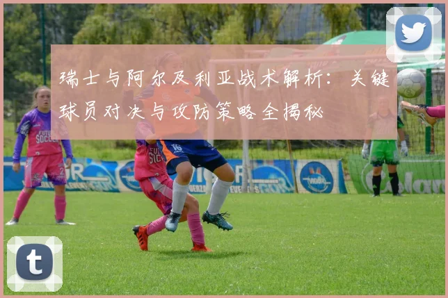 瑞士与阿尔及利亚战术解析:关键球员对决与攻防策略全揭秘